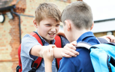 The representation of bullying in Italian primary school children