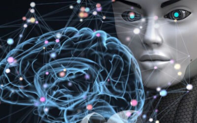 In Italy there is a boom in Telematic Universities – more than 410 percent of enrolments